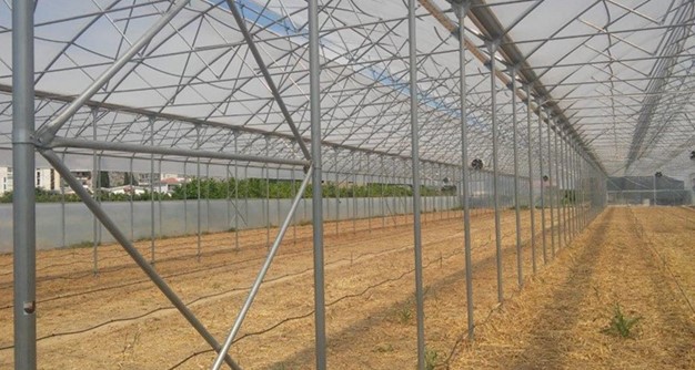 Greenhouse in Opuzen