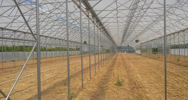 Greenhouse in Opuzen